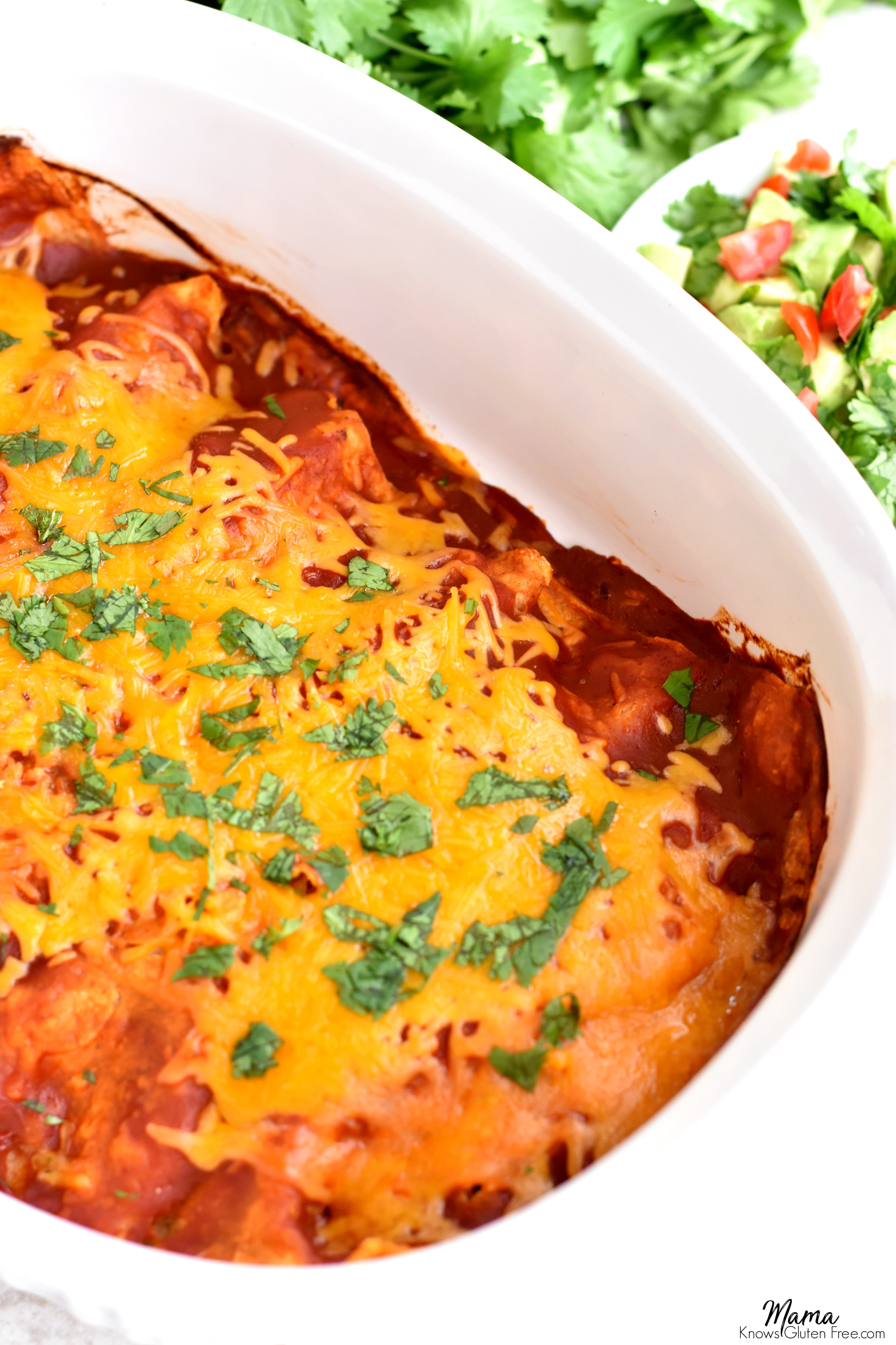 casserole dish of gluten-free beef and cheese enchiladas with salsa and cilantro in the background