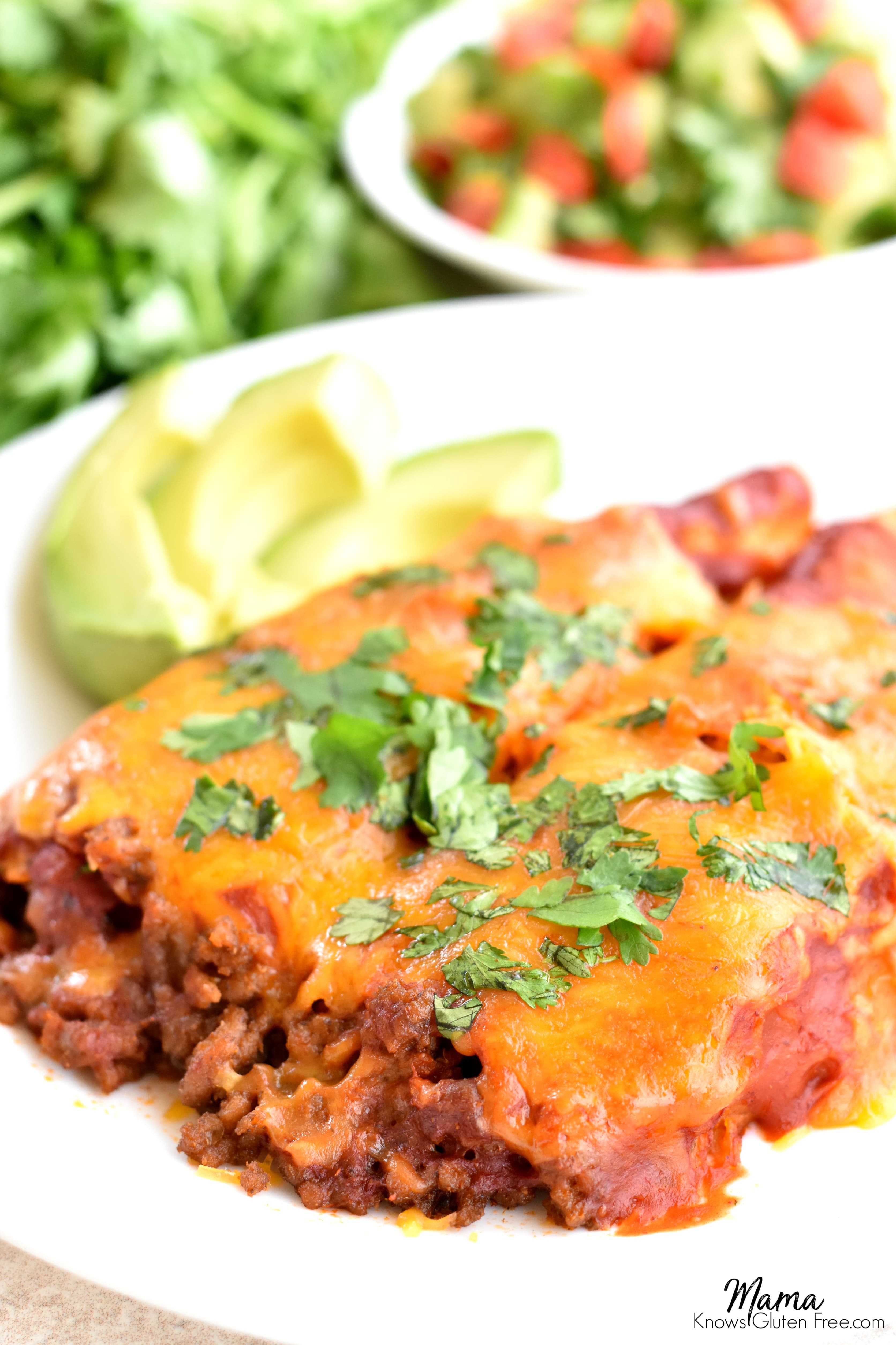 2 gluten-free beef and cheese enchiladas on a plate with sliced avocado and salsa and cilantro in the background 