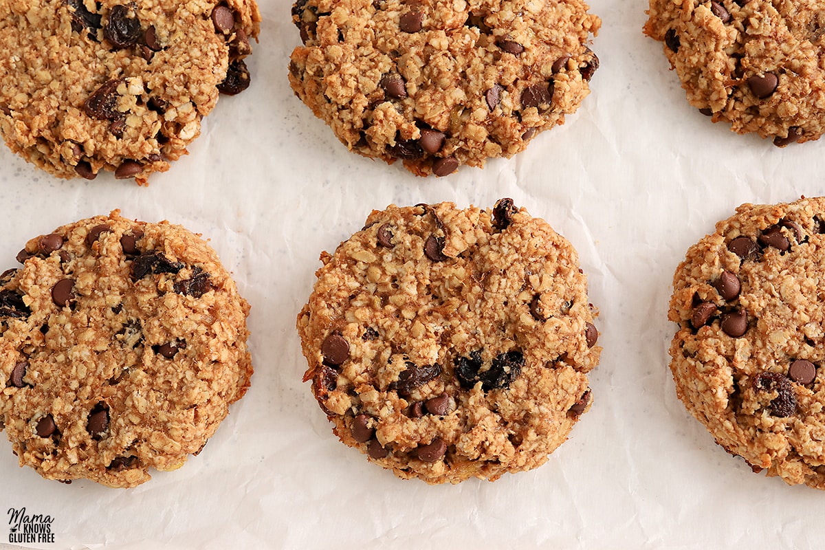 gluten-free breakfast cookies on white parchment paper