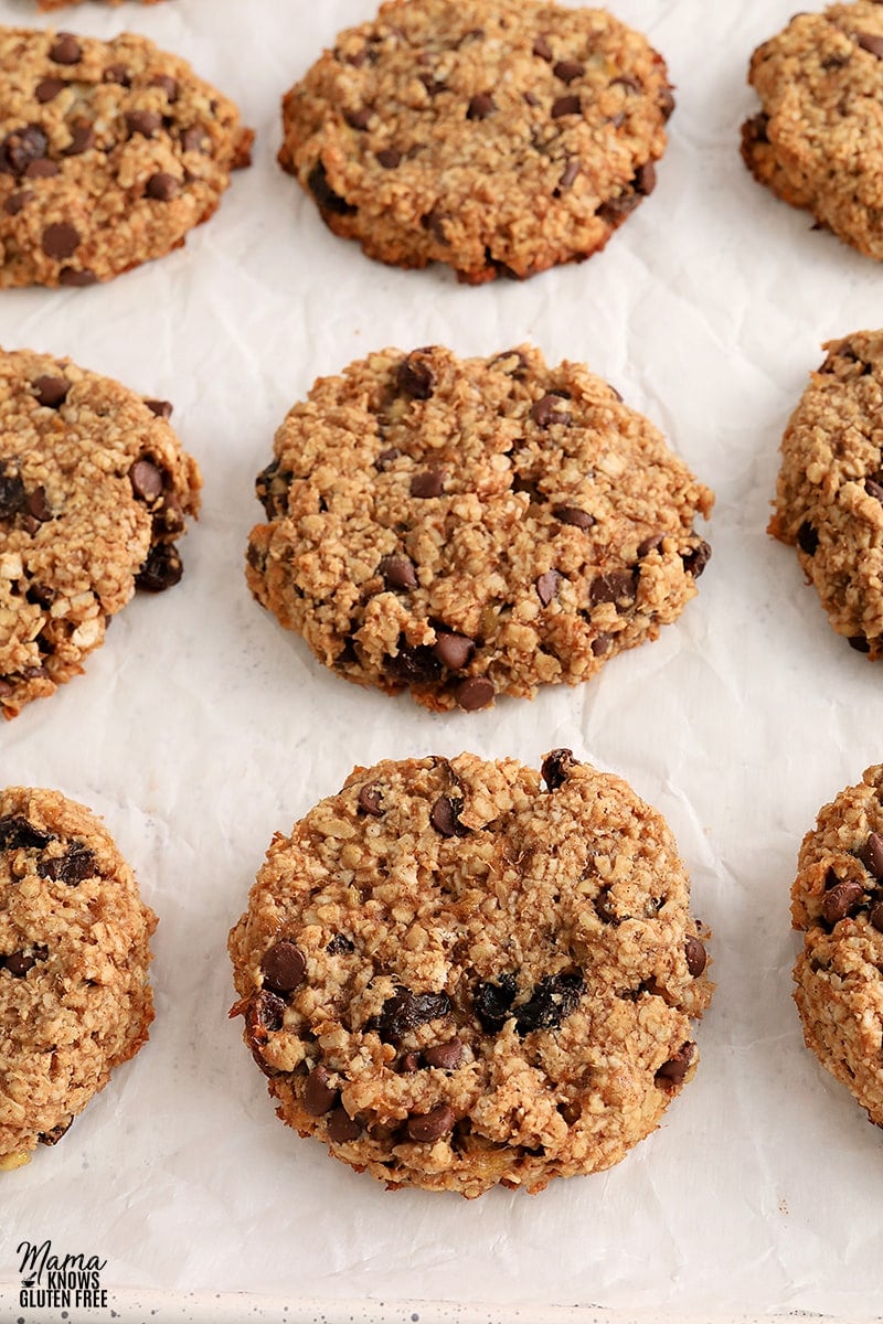 gluten-free breakfast cookies on a white baking sheet