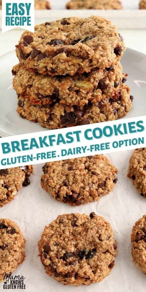 gluten-free breakfast cookies Pinterest pin 1n