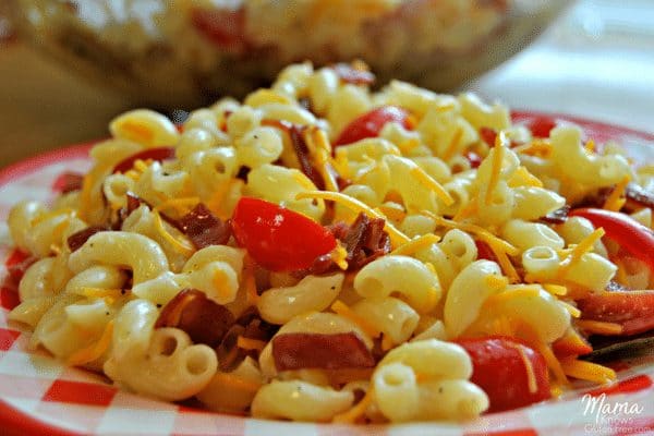 gluten-free bacon, tomato and cheese macaroni salad