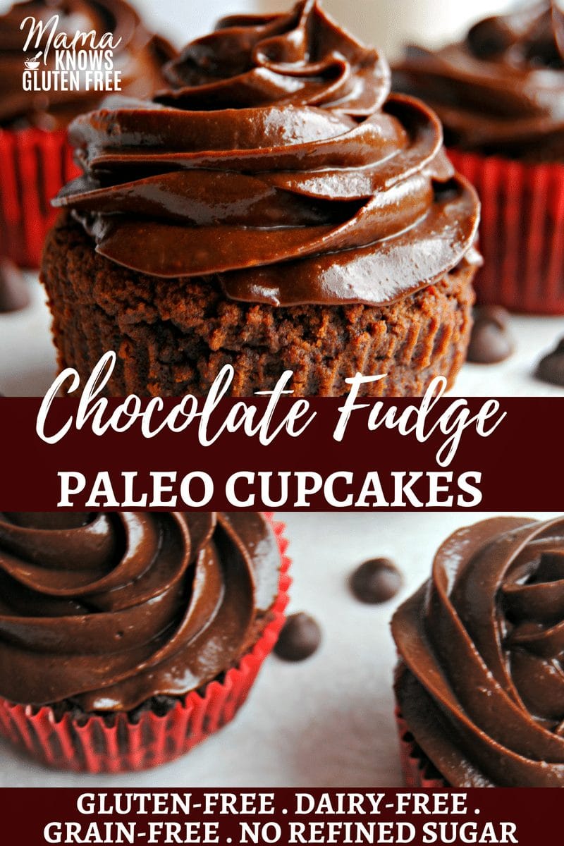 Chocolate Fudge Paleo Cupcakes
