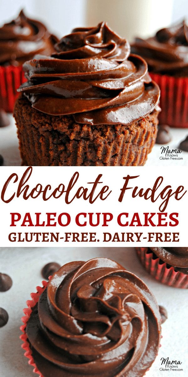 Paleo Chocolate Fudge Cupcakes