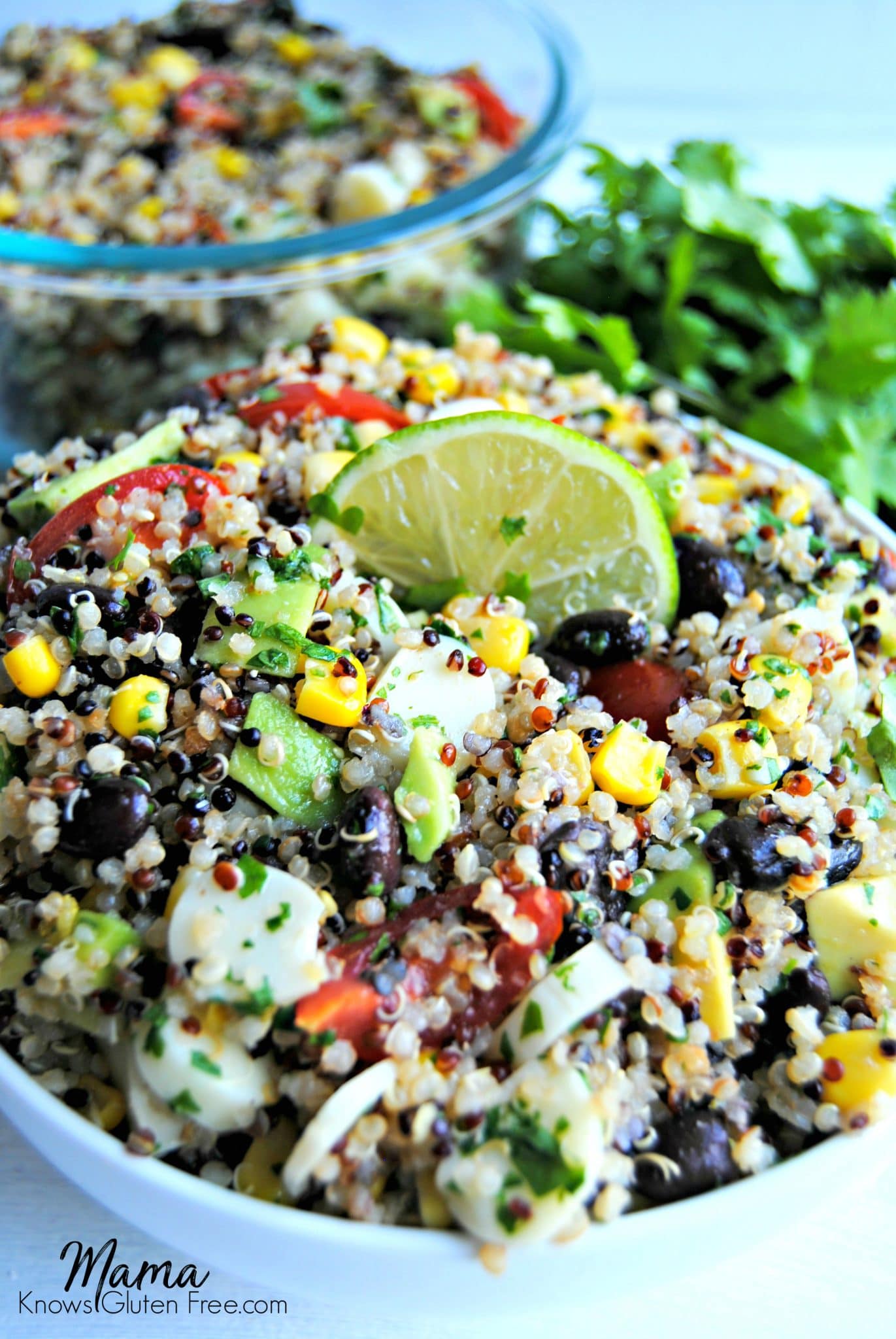 Gluten-Free Southwestern Quinoa Salad