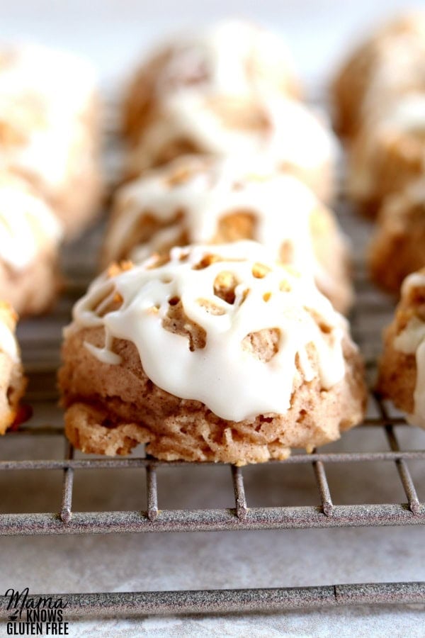 gluten-free cinnamon biscuit balls