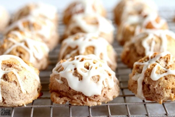 gluten-free cinnamon biscuit balls