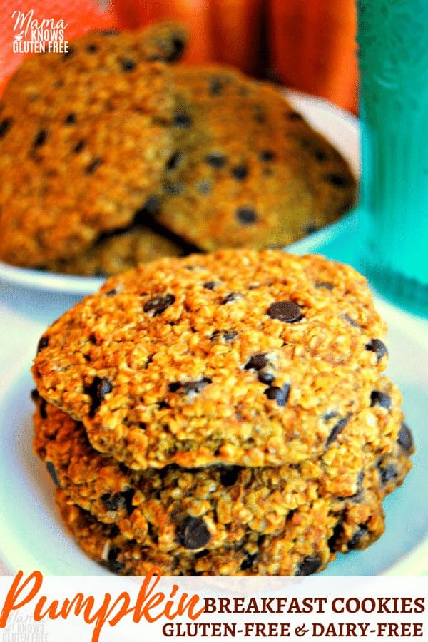 gluten-free pumpkin breakfast cookies