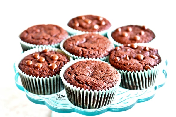 Paleo chocolate muffins
