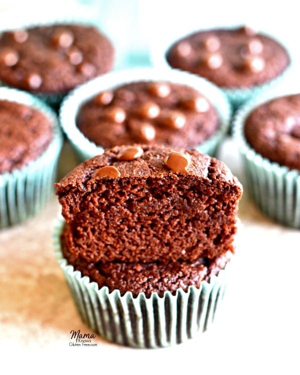 Paleo chocolate muffins