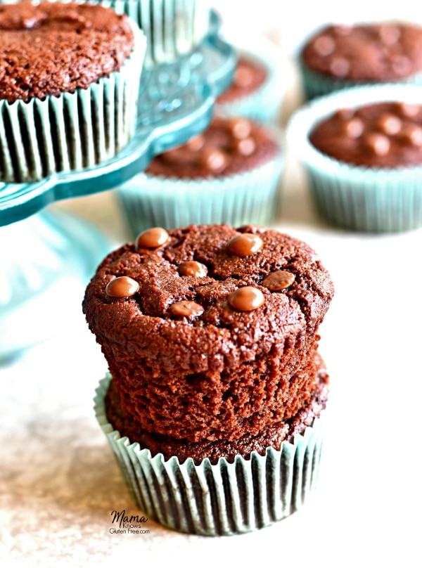 Paleo chocolate muffins