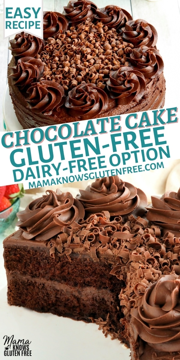 gluten-free chocolate cake Pinterest pin 1n