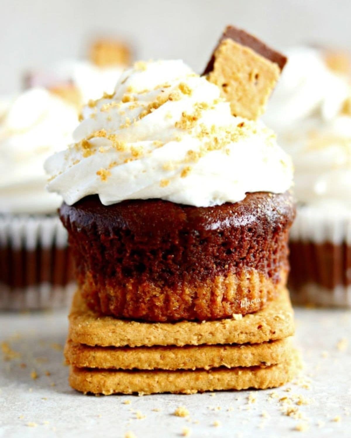 S'mores cupcake sitting on 3 honeygraham crackers, topped with marshmallow buttercream.