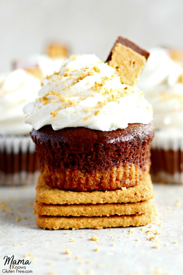 Gluten-Free S'mores Cupcakes with Marshmallow Buttercream Frosting