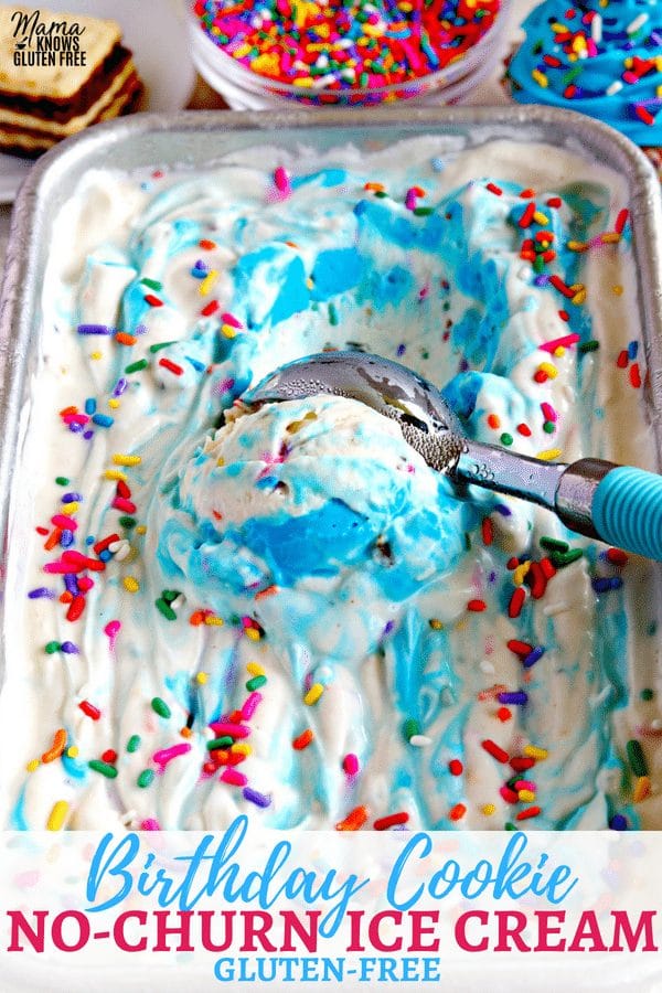 Homemade Birthday Cake Ice Cream Cake - The Cookie Writer