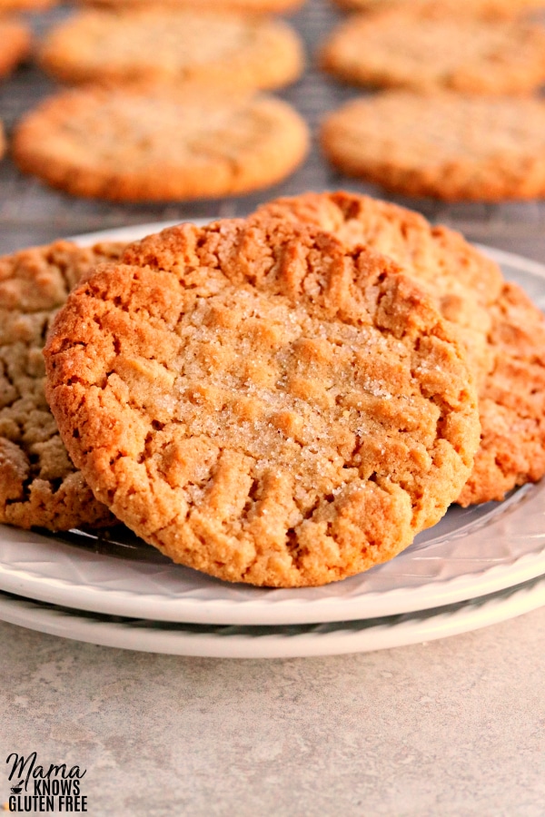 Gluten-Free Peanut Butter Cookies {Dairy-Free & Vegan Option} - Mama ...