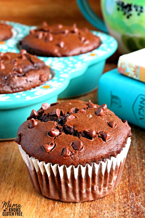gluten-free double chocolate muffins with books, mug and muffins in the background