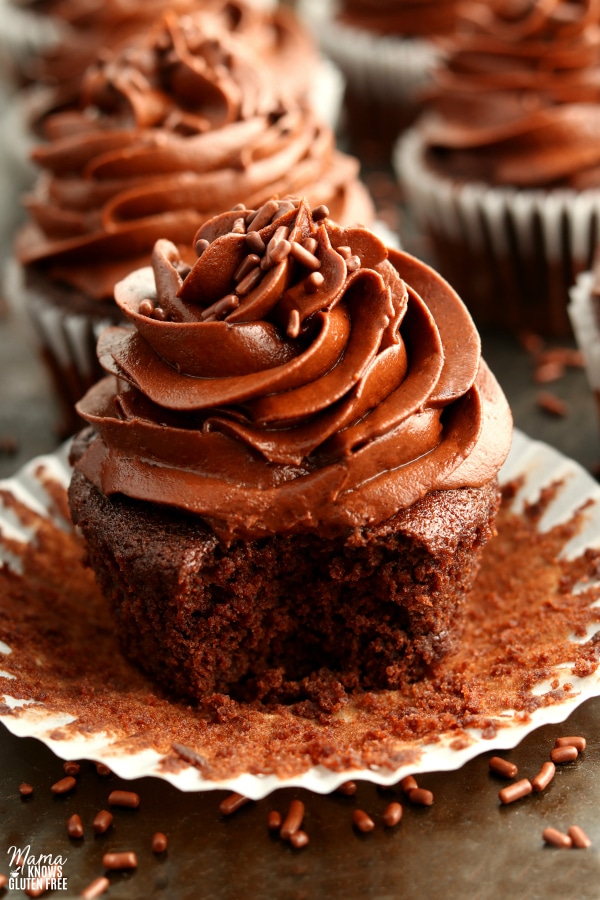 gluten-free chocolate cup cake with bite out of it to show texture