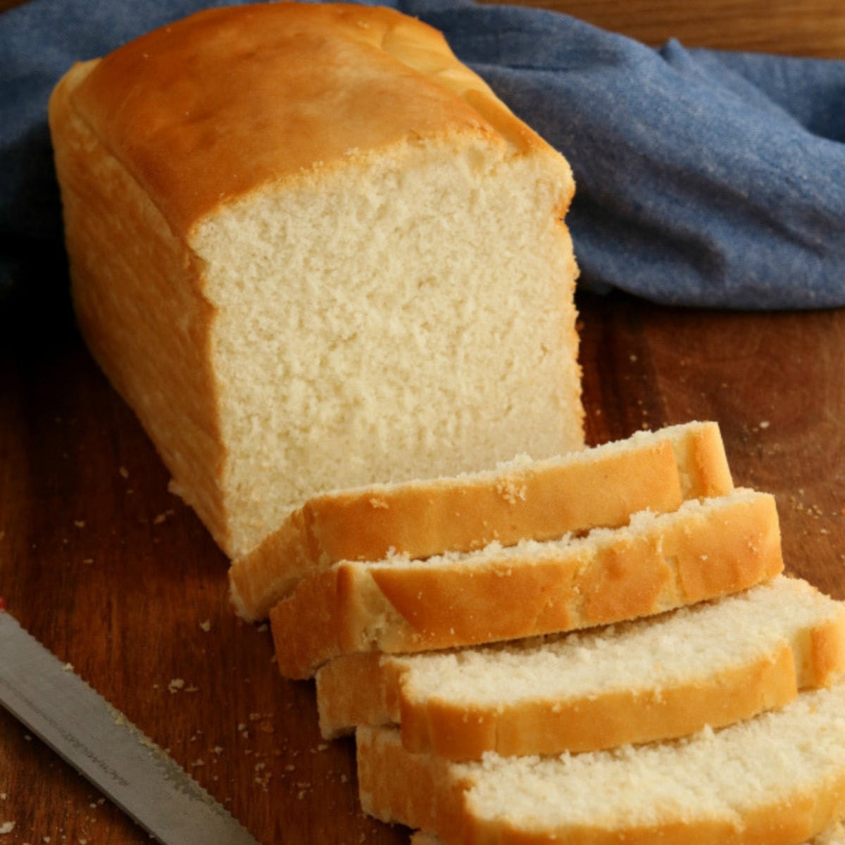 Gluten free bread