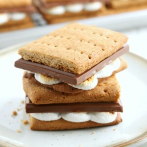 gluten-free graham crackers made into S'mores