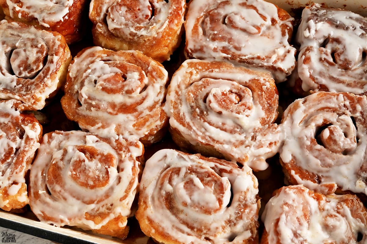 baked gluten-free cinnamon rolls with frosting in a pan