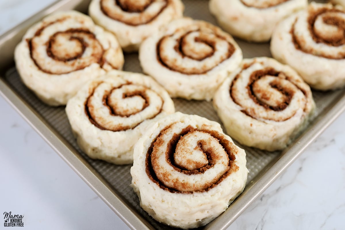 gluten-free cinnamon roll dough cut into slices on a baking sheeet