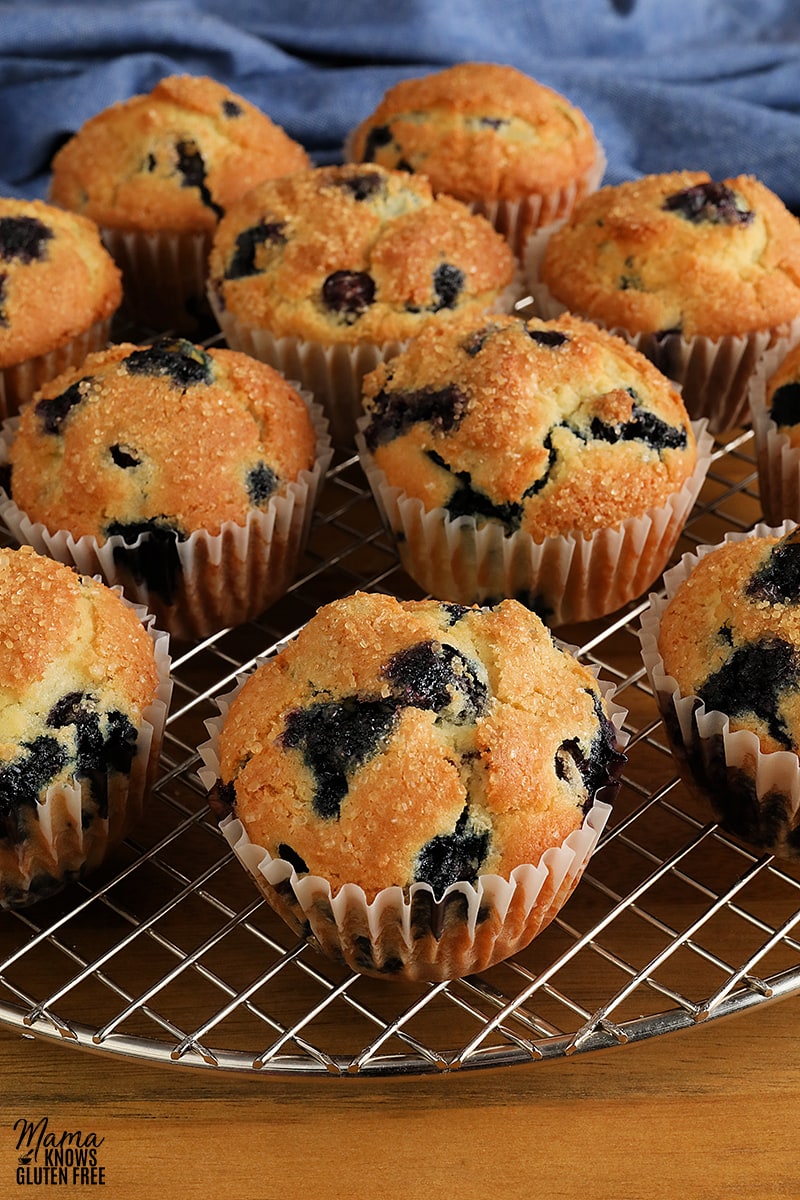 gluten-free blueberry muffins on a sliver cooling rack with a blue napkin