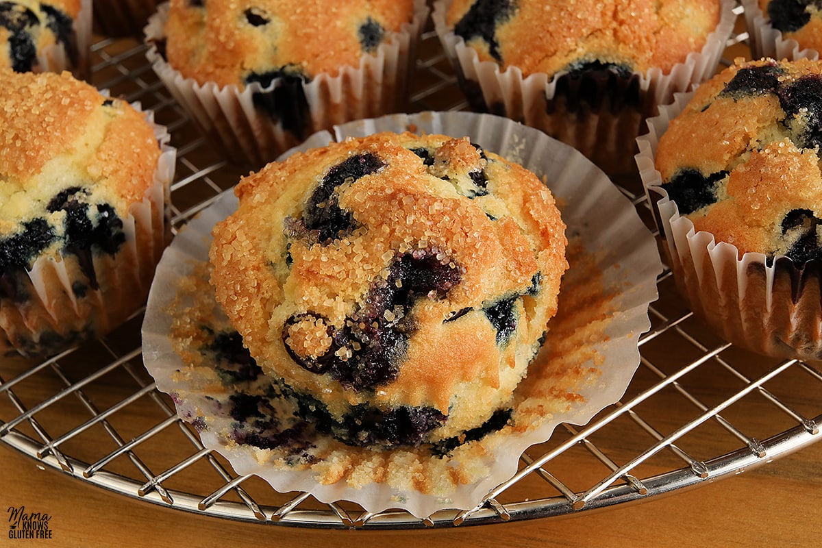 gluten-free muffin with cupcake line removed with muffins in the background
