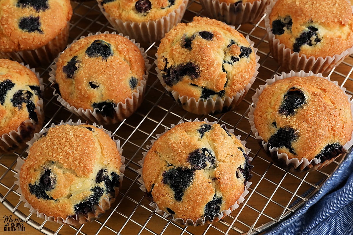 gluten-free blueberry muffins on a silver cooling rack