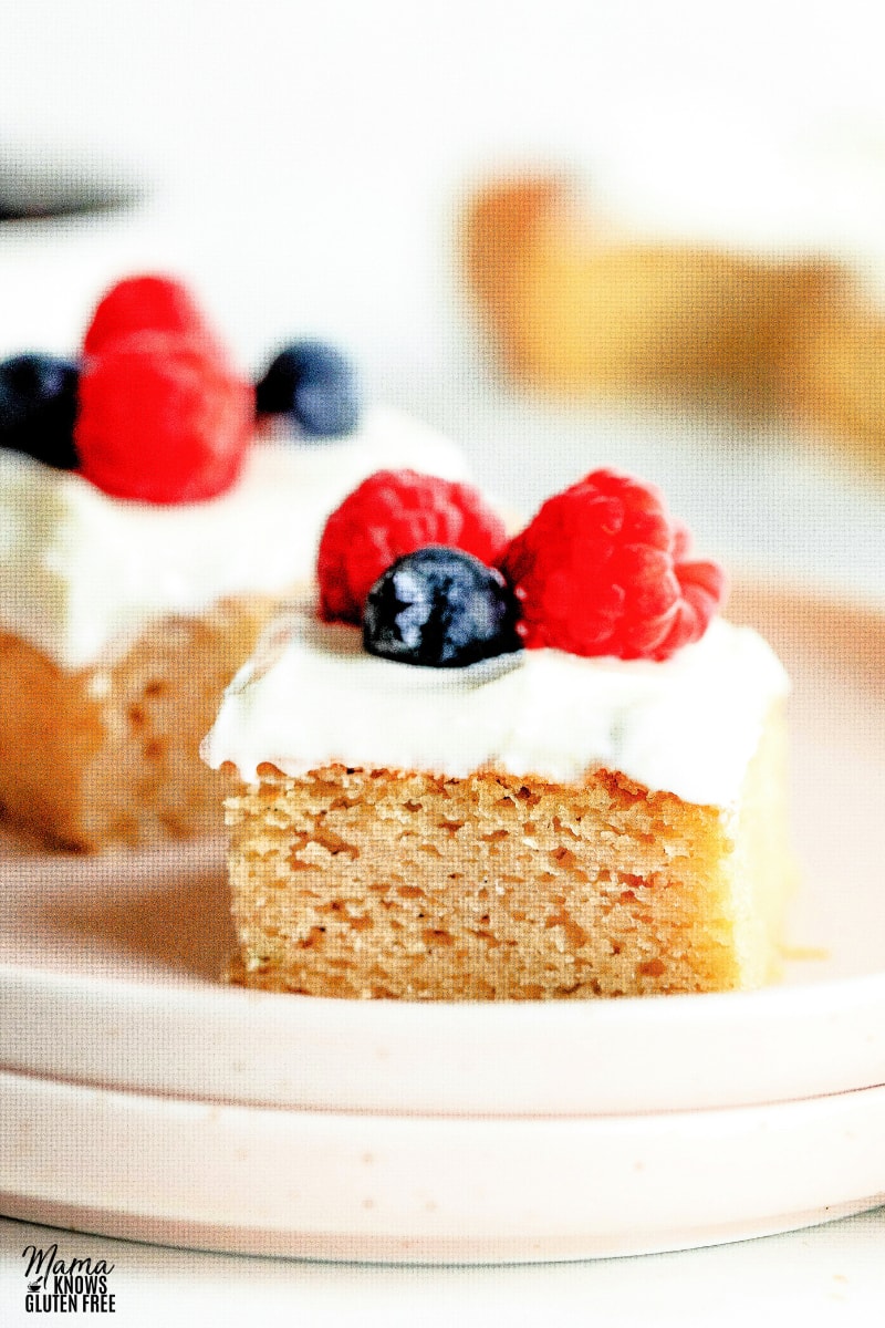 almond flour cake topped with frosting and berries