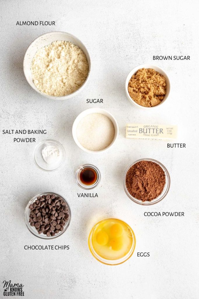 Ingredients used in Almond Flour Brownies