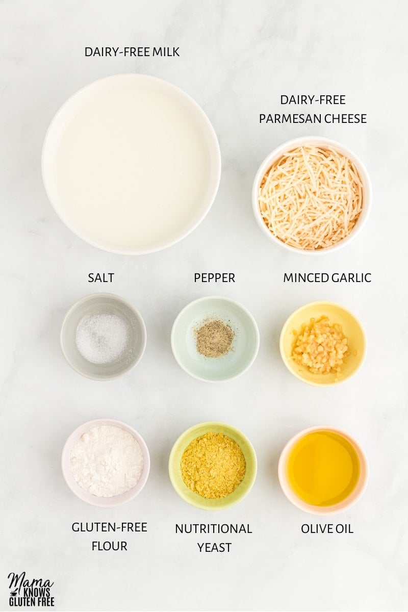 dairy-free alfredo sauce recipe ingredients