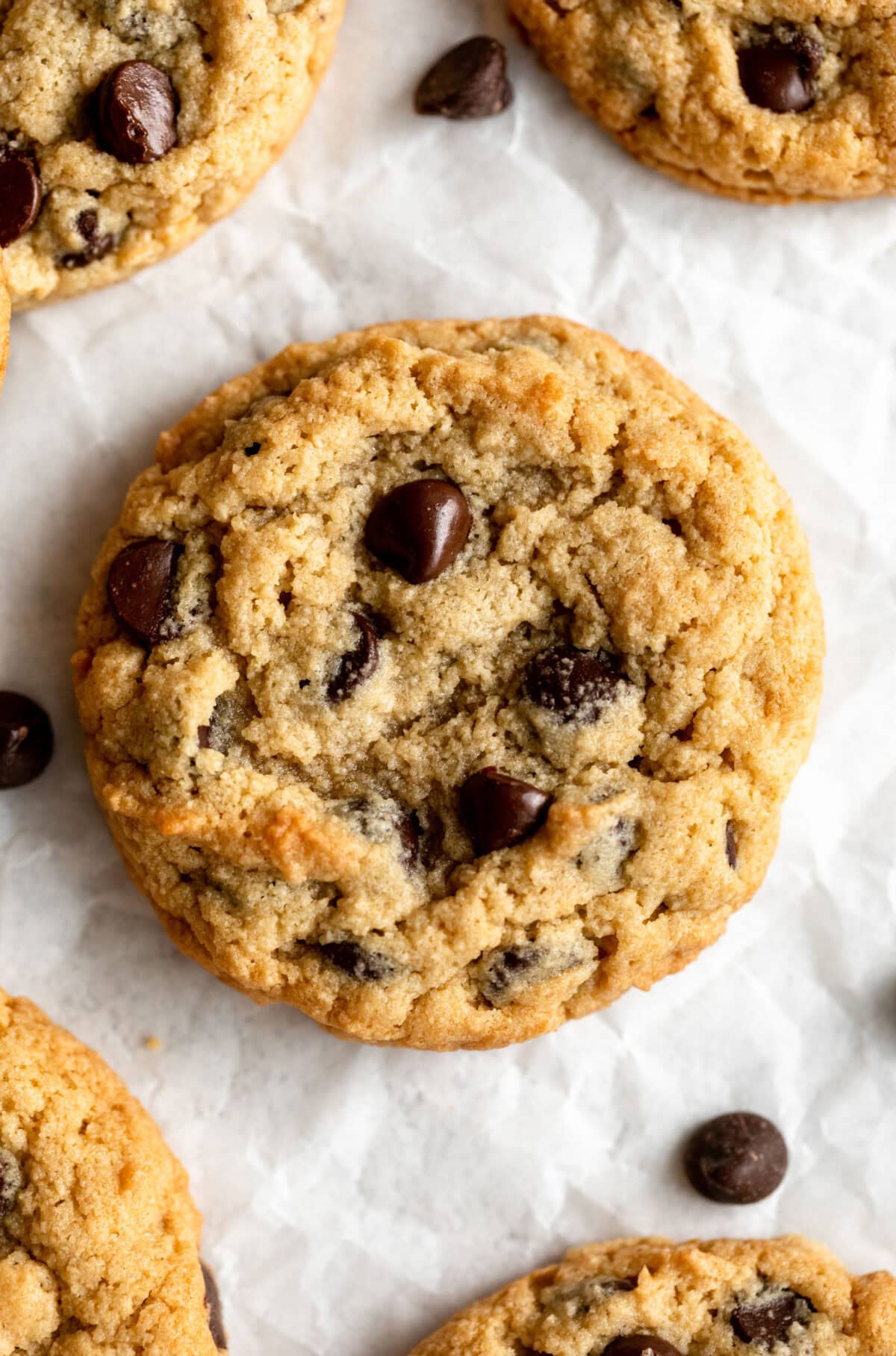 up close image of Almond Flour Chocolate Chip Cookie