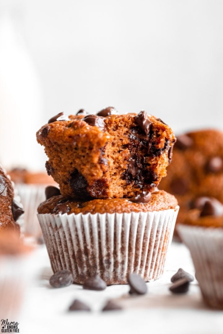 Almond Flour Pumpkin Muffins Mama Knows Gluten Free