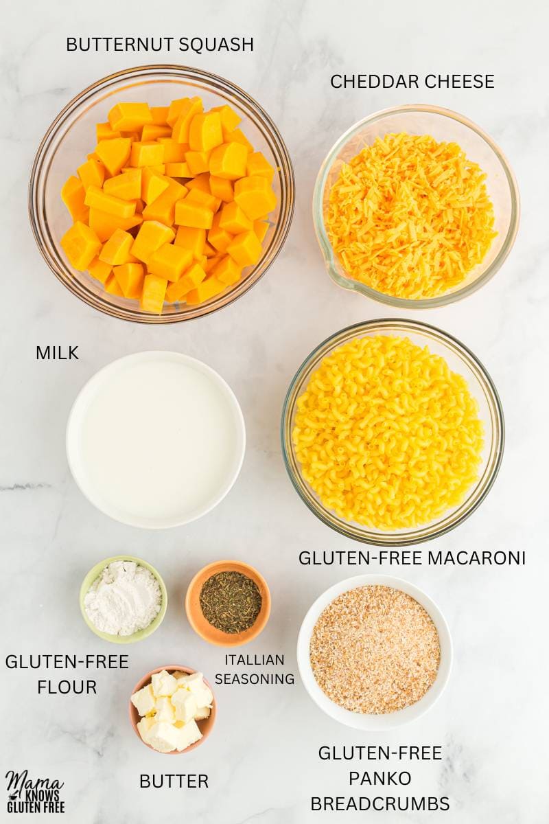 Ingredients for Gluten-Free Butternut Squash Mac and Cheese
