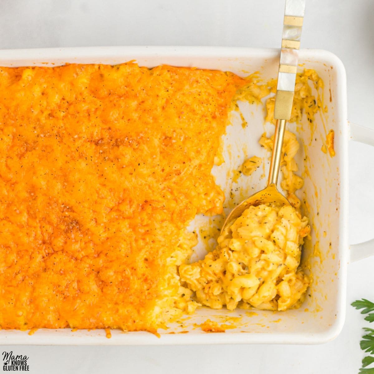 Butternut Squash Mac and Cheese