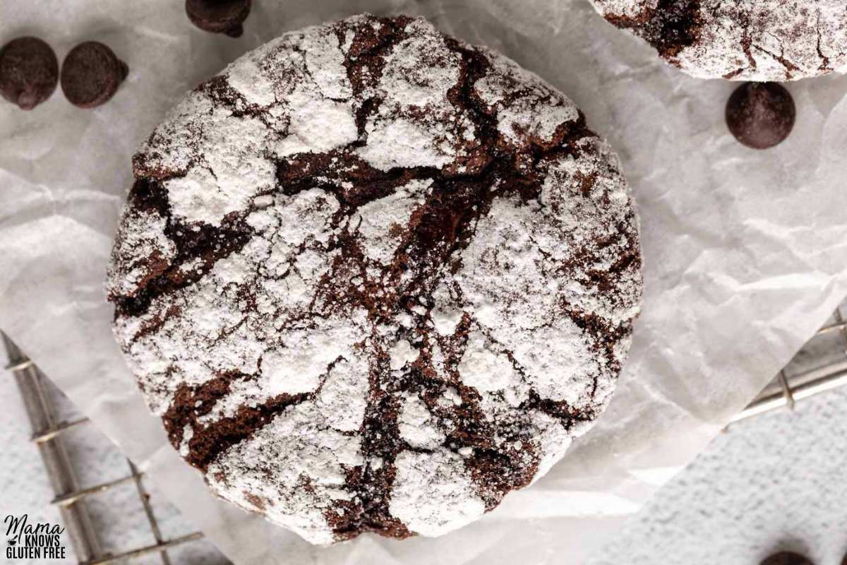 a gluten-free chocolate crinkle cookie on a white background