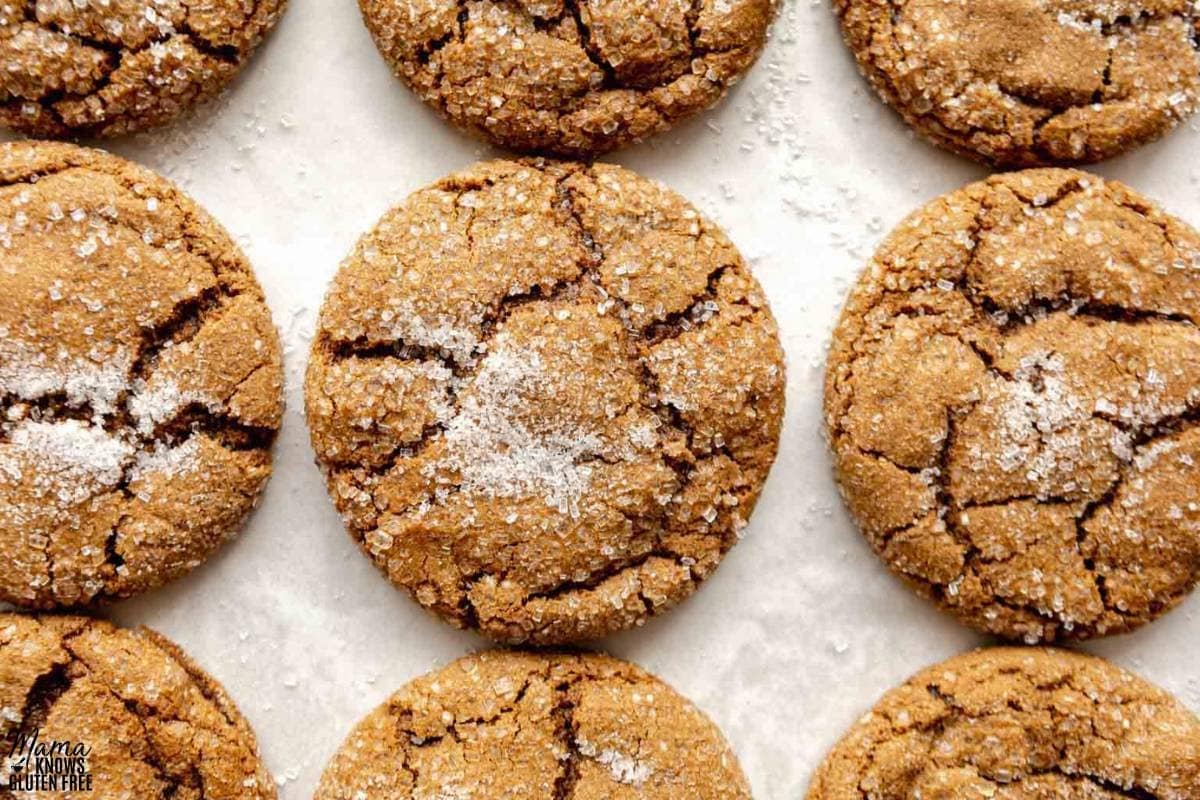 gluten-free molasses cookies on a white background