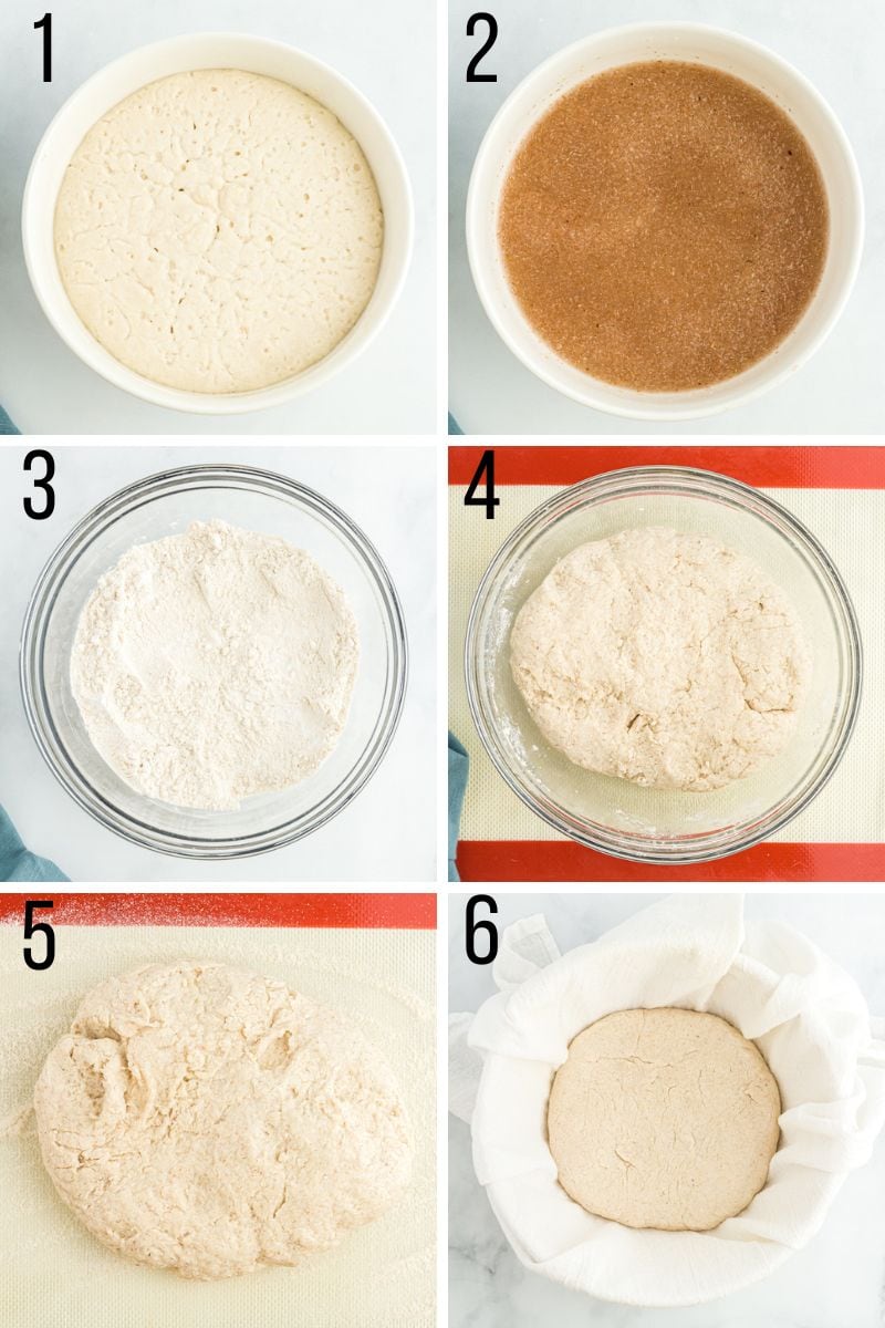 gluten-free sourdough bread recipe steps 1-6