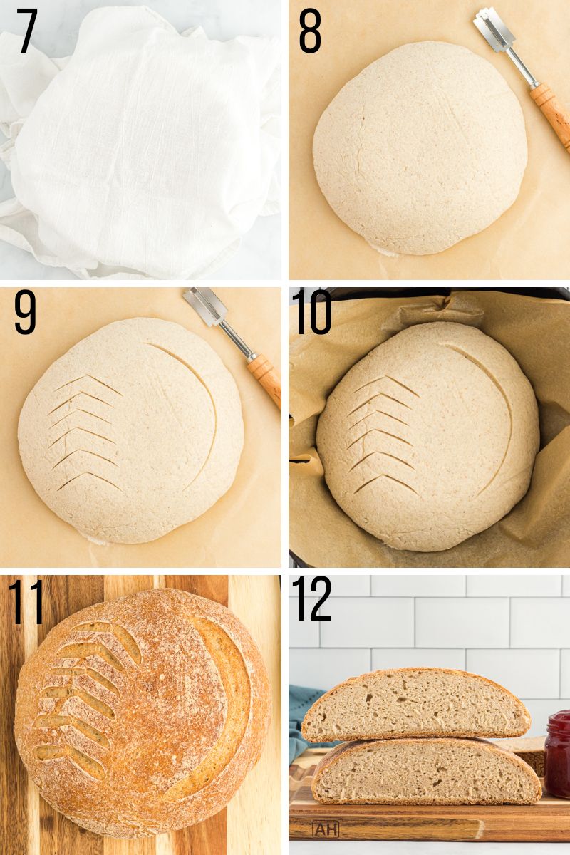 gluten-free sourdough bread recipe steps 7-12