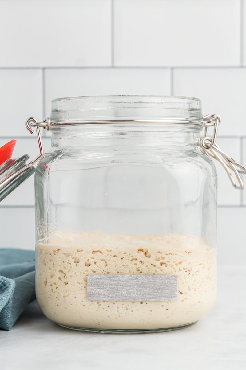 Gluten-Free Sourdough Starter - Mama Knows Gluten Free