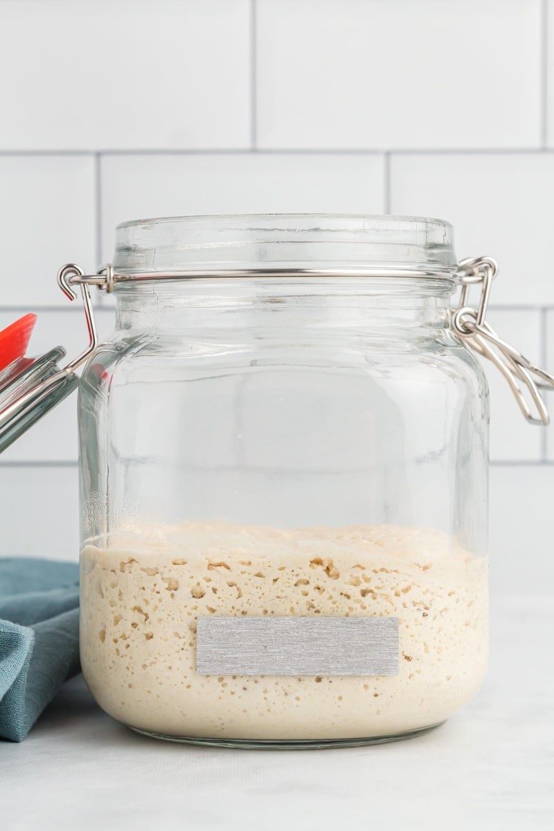 Gluten-Free Sourdough Starter in glass jar.