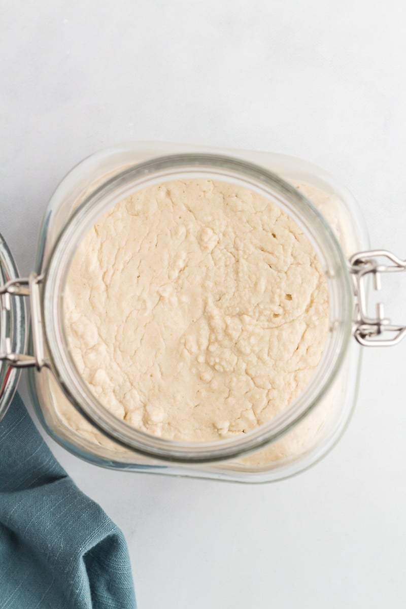 Gluten-Free Sourdough Starter in glass filled to the top of the jar