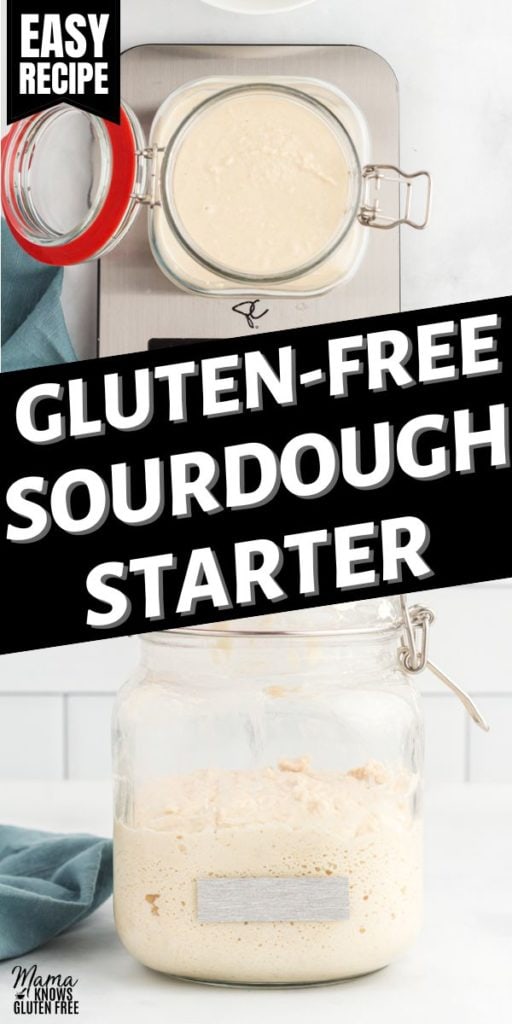 gluten-free sourdough starter Pinterest pin
