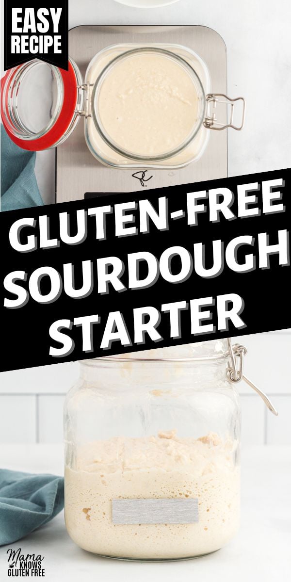Gluten-Free Sourdough Starter - Mama Knows Gluten Free