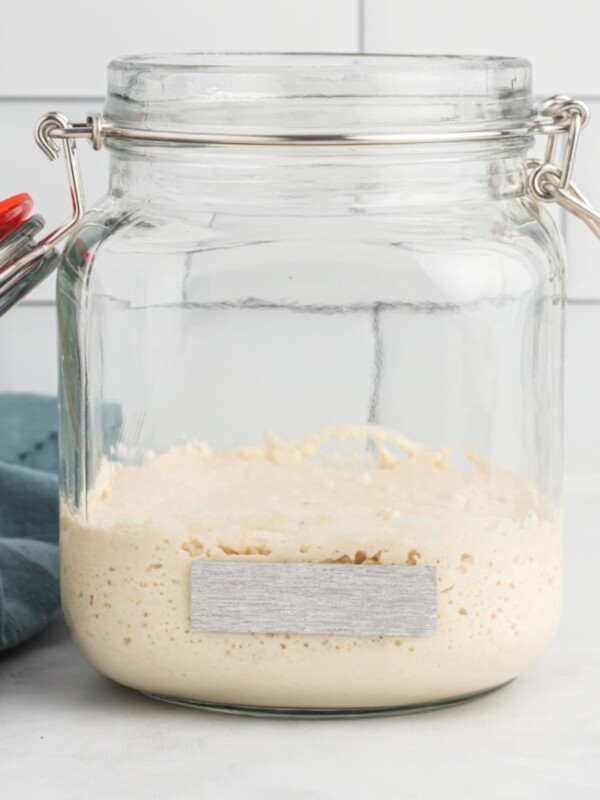 gluten-free sourdough starter in a glass jar with a lid