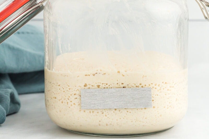gluten free sourdough starter in a glass jar with tape on the side.