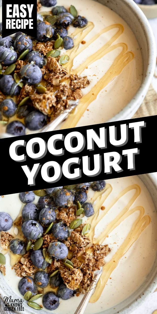 coconut yogurt pin