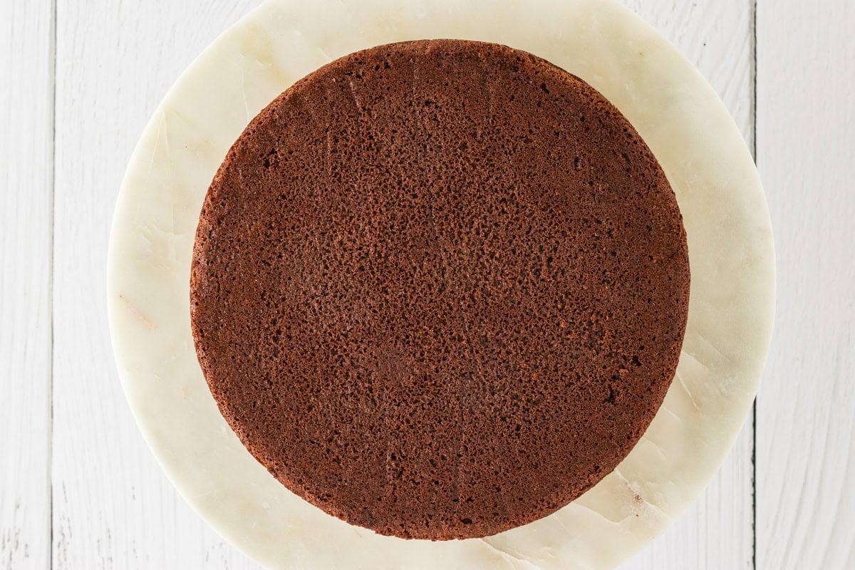 A single layer of gluten-free chocolate cake placed on a round marble cake stand, ready for frosting.