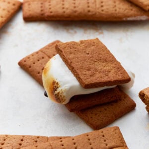 A close-up of a freshly made gluten-free s’more with a toasted marshmallow and chocolate between two homemade graham crackers. Several whole and broken graham crackers surround it on a white surface.